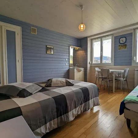 Ban-sur-meurthe-clefcy, 5 Pièces, 9 Personnes - Fr-1-589-6