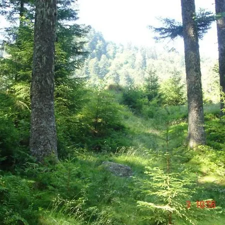 Spacieux En Ancienne Ferme Renovee, Ideal Pour Familles Et Amis - Proche Randos Et Sites Touristiques - Fr-1-589-6 度假居 Ban-sur-Meurthe-Clefcy