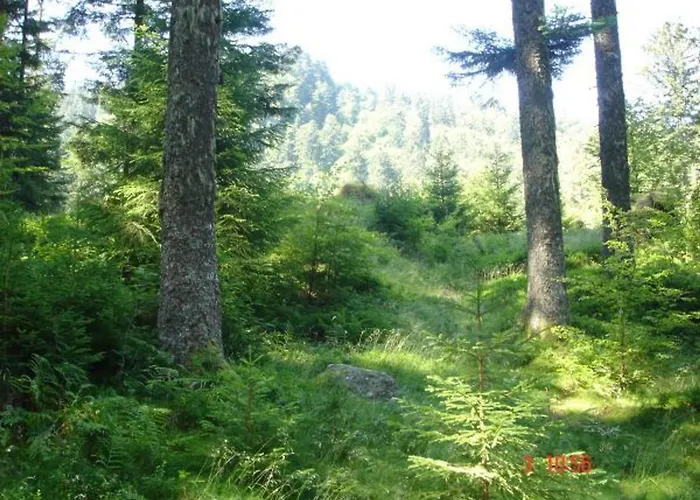 Spacieux En Ancienne Ferme Renovee, Ideal Pour Familles Et Amis - Proche Randos Et Sites Touristiques - Fr-1-589-6 度假居 Ban-sur-Meurthe-Clefcy